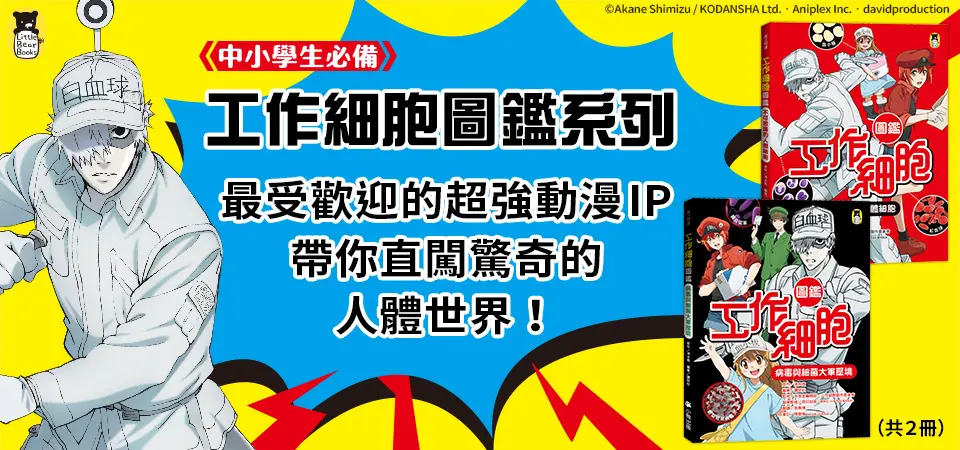小熊